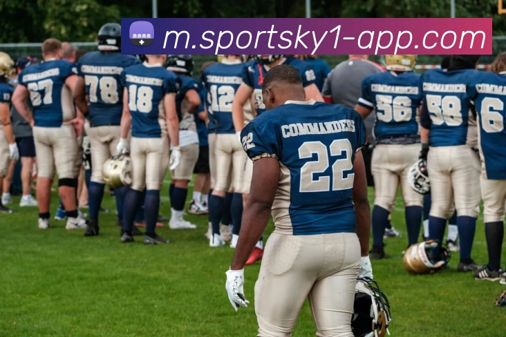 开云体育平台生态图