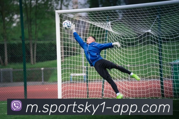 开云体育APP 封面图